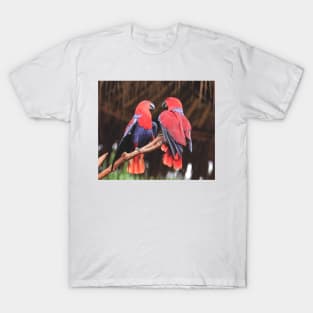 Parrots T-Shirt